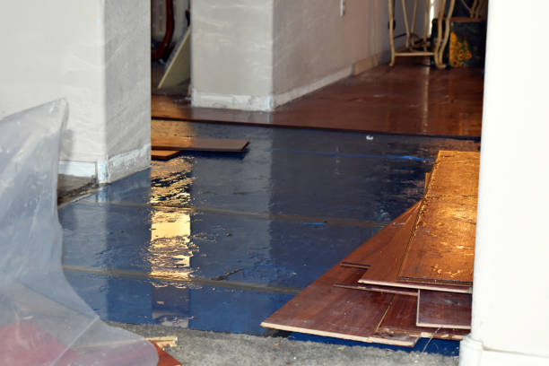 Professional Sewage Cleanup technician working in Newtown, CT